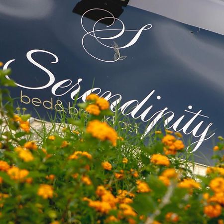 Serendipity B&B Μεσίνα Εξωτερικό φωτογραφία